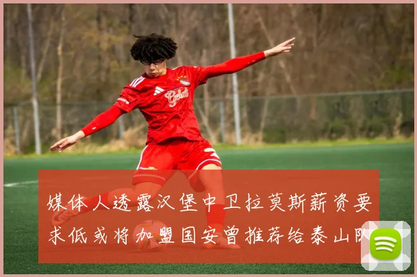 媒体人透露汉堡中卫拉莫斯薪资要求低或将加盟国安曾推荐给泰山队